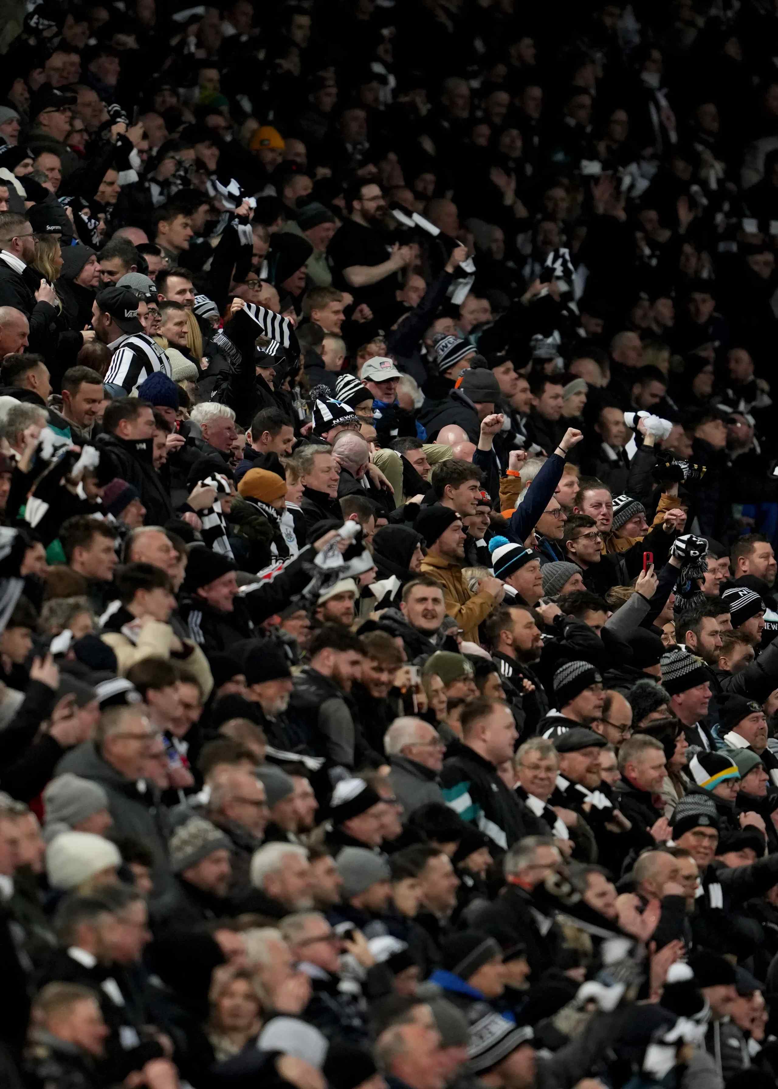 Premier League crowd